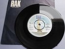 The Vibrators - We Vibrate UK 1976 RAK 7