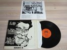 WASTED YOUTH LP - REAGAN´S IN / SANOBLAST RECORDS + INSERT in MINT-