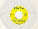 RICKY ALLEN   NOTHING IN THE WORLD CAN HURT ME    US BRIGHT STAR   NORTHERN SOUL