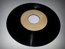 BLANK[CARIB-DIS-CO.]/GREAT DAY (THINGS I USED TO DO) - WILSON BROTHERS  [REGGAE]