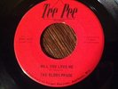 The Bloos Phase, Will You Love Me 45, Killer Garage/Psych, Tee Pee, RARE, WI