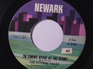 KITTENS THREE: I'm Coming Apart At The Seams 45 (sm tol) rare Soul