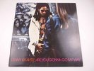 LENNY KRAVITZ: ARE YOU GONNA GO MY WAY - VINYL