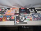 Ten Pack of Vinyl Records Rage, The Accused, U.D.O- PSU