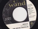 GARAGE  45 RPM - THE MOVING SIDEWALKS on WAND RECORDS (PROMO)