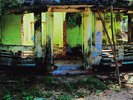 DER BLUTHARSCH  - All The Pieces 12