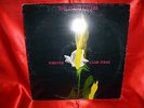 LP 33 g   -     The Flesh Eaters ?– Forever Came Today  - 1982 - made in Italy