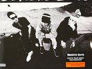 Beastie Boys - Check Your Head   180 gram  Double Vinyl LP Brand New & Sealed