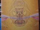 Devendra Banhart 