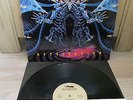 Malevolent Creation - Retribution 1st press LP Roadracer 1992