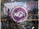 LUSH Lovelife 1996 UK ORG 4AD LP Still SEALED  Miki Berenyi SHOEGAZER