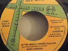 BERES HAMMOND - Do This World A Favour - 7