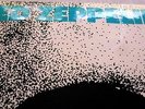 LED ZEPPELIN ‘SELF TITLED’ DEBUT UK 1st PRESS WITH TURQUOISE LETTERING SLEEVE.
