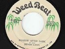 Devon Lyon - Shadow After Dark - ROOTS MISSILE