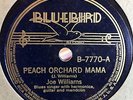 BIG JOE WILLIAMS BLUEBIRD 7770 BLUES 78 RPM RECORD E-