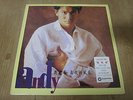 Andy Lau ??? - ????? Korea Vinyl LP 12