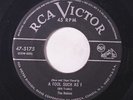 ROBINS: A Fool Such As I / My Heart's The Biggest Fool 45 rare Vocal Groups