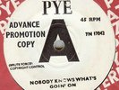 TAMMY St.JOHN*NOBODY KNOWS WHAT'S GOIN' ON*DEMO*DANCER*LISTEN TO IT
