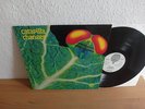 CATAPILLA CHANGES IN 1972 MINT ON VERTIGO SWIRL RARE