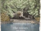 The Feelies - Here Before