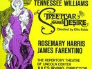 Streetcar Named Desire Tennessee Williams Caedmon 3xLP NEAR MINT 1973