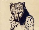 Palace Music Viva Last Blues LP bonnie prince billy/will oldham/brothers NEW