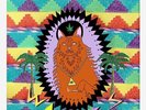 WAVVES - King Of The Beach - LP GLOW IN THE DARK VINYL SEALED Best Coast No Age