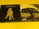 SPRIGUNS - Revel Weird and Wild -reissue of 1976-rar Folkrock LP-rar clear vinyl