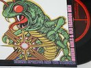 REGINA SPEKTOR & THE STROKES MODERN GIRLS 7