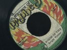 1113 BRIGHT WYNTER-WORDS OF FIRE-FULLFILLMENT OF PROPHECY-  REGGAE 45 7