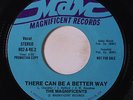 MAGNIFICENTS: Don't Take Your Love / There Can Be A Better Way 45 (dj)