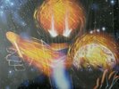 Arsonists, The - As The World Burns (2xLP, Album)
