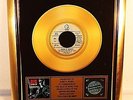Guns N' Roses, You Could Be Mine, Gold Record, goldene Schallplatte, Terminator