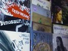 Dinosaur Jr Record Lot