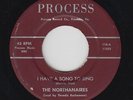 Black Gospel 45 - Northernaires - I Have A Song To Sing - Process - mp3