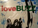 The Hummingbirds .... Lovebuzz Vinyl LP SIGNED Cover 1989