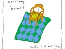 COURTNEY BARNETT SOMETIMES I SIT & THINK NEW SEALED ORANGE DOUBLE LP IN STOCK