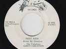 Modern Soul Gospel 45 - Fabulous God's Creation - Free Ride -Hummingbird VG+ mp3
