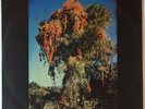 Psych Prog LP WE ALL TOGETHER Self Titled MAG peru original