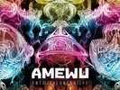 Amewu - Entwicklungshilfe Vinyl 2LP NEU Team Avantgarde, Edit