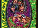 RAMONES ACID EATERS 2013 LP VINYL NEW 33RPM