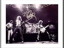 LED ZEPPELIN - ROBERT PLANT - ROCK LEGEND - ORIGINAL HAND SIGNED AUTOGRAPH