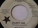 GARAGE FUZZ PROMO 45/ THE RAVEN 