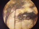 GOLDEN VOID - Berkana - Vinyl (limited coloured vinyl LP + MP3 download code)
