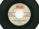 Very Scarce Texas Doo-Wop 45: The Moods, TNT 189