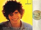 TIM BUCKLEY goodbye and hello K 42070 A1/B1 uk elektra gatefold LP PS EX/EX