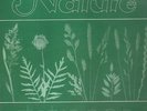 Tetragon Nature 1971 KRAUTROCK NEAR MINT Amber Soundroom Vinyl LP