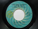 FANTASTIC FOUR Can't Stop Looking For My Baby RIC TIC 121 45 Northern Soul HEAR