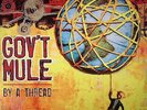 GOV'T MULE - By A Thread - Vinyl (gatefold 2xLP)