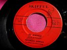 PICTORIAN SKIFFULS - In Awhile - Ohio Garage 45 rpm - Skifful 15587